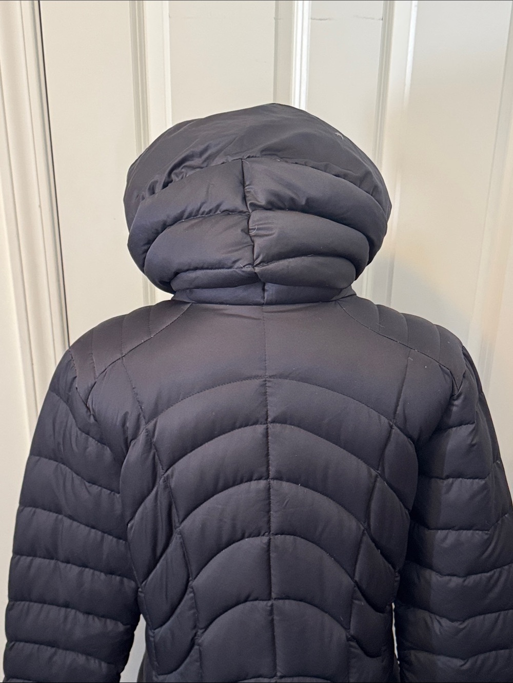 Patagonia Women's Black Down Hooded Quilted Puffer Jacket - Picture 4 of 9